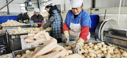 铜梁永嘉镇 订单纷至沓来，农产品加工生产忙