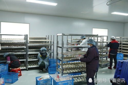 糍粑土货搭电商快车出大山——独山电商农产品加工中心的转型之路