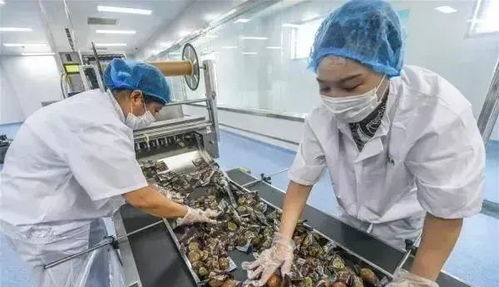 农业产业周报 新希望、腾讯、茅台、本来生活、叮咚买菜最新动态与农产品加工进展