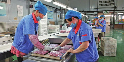 让黑土地流金淌银 松原推动农业高质量发展纪实