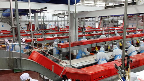 农业人2018年千万别做这6件事，否则在农产品加工领域会输得很惨