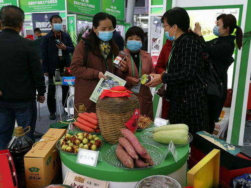 第七届黄河金三角投资合作交流大会暨渭南农产品加工产业博览会开幕，聚焦农产品加工新机遇