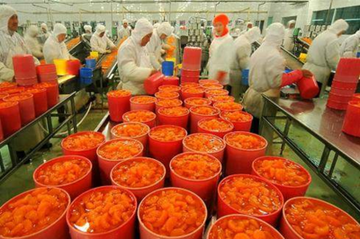 2017年农业大额项目补贴 最后4项农产品加工政策详解