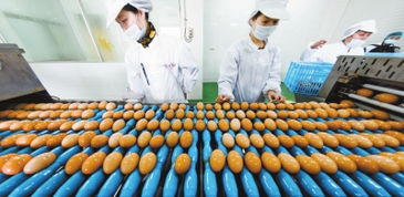 浦东农产品深加工崭露头角，推动农业现代化转型升级